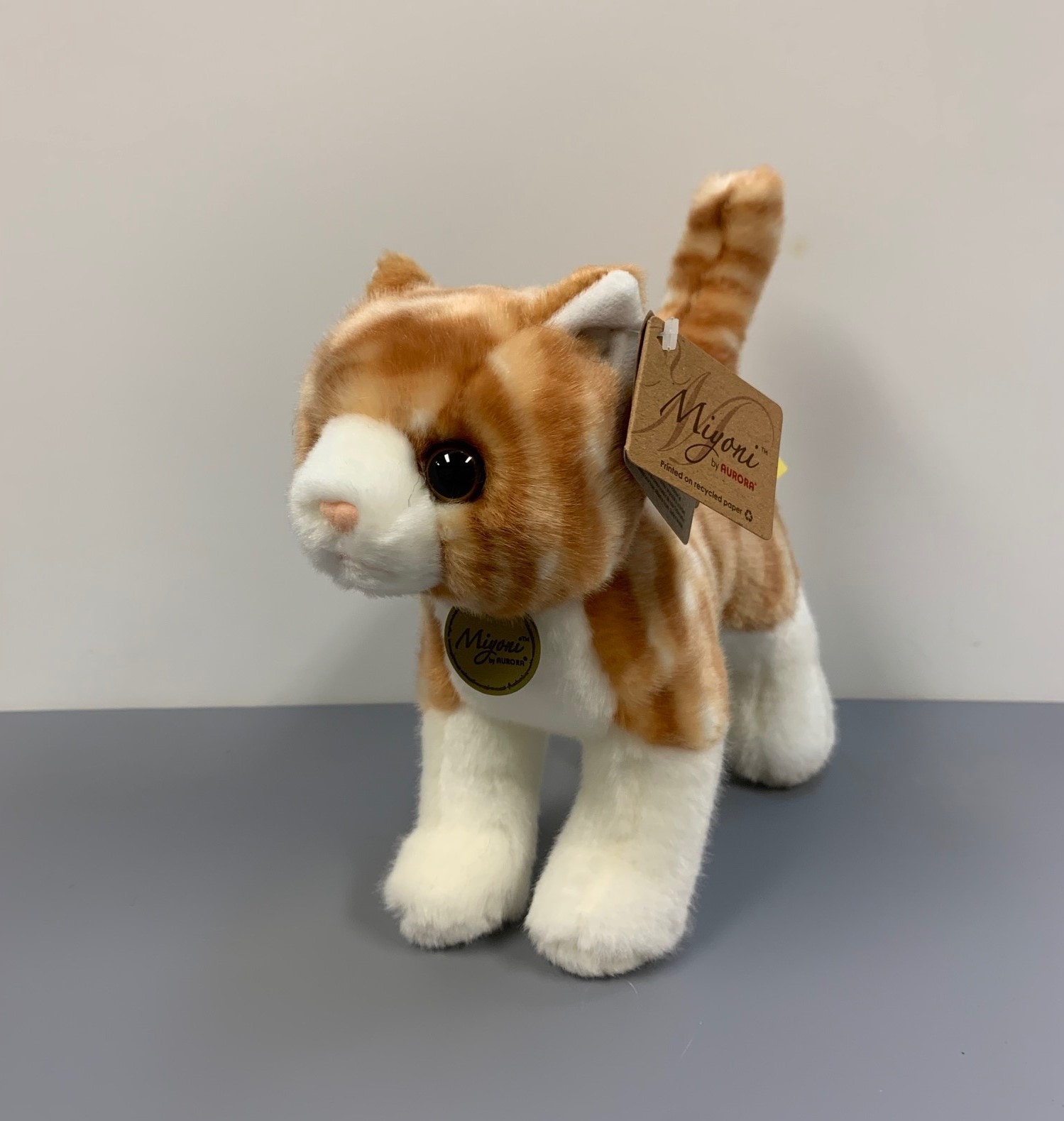 Orange Tabby Cat